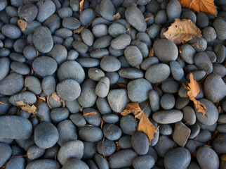 Pebbles