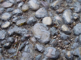 Piedras