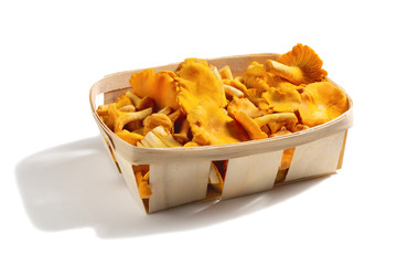 Group of edible forest chanterelle mushrooms in a wooden box of veneer isolated on white background - obrazy, fototapety, plakaty