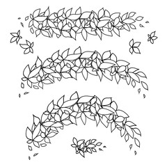 Obraz premium Set of contour branches with leaves of various bends. Leaves and shoots. Vector line art element for invitations, cards and your design.