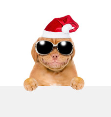 Smiling pupy in red christmas hat  and sunglasses above white banner. isolated on white background