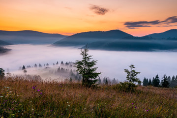 Fototapeta na wymiar Misty dawn in the mountains. Beautiful Autumn Landscape