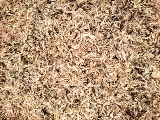 Background texture image of pieces of natural raw sheep wool