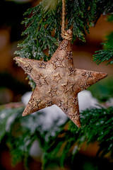 Christmas Star Ornament And Fir Tree