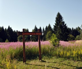 Das schwarze Moor bei Poppenhausen