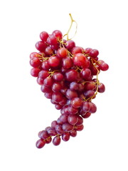 red grapes isolated on white background.