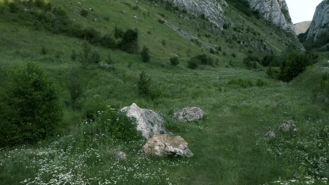 A fly over drone shot of the Coltesti mountain range, in Romania. The valleys and gorges expand far into the distance, the wild flowers and green grass fills the foreground.