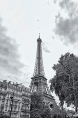 The Eiffel Tower - Walking the Streets of Romantic Paris