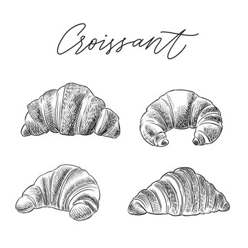 croissant hand drawn sketch vector set