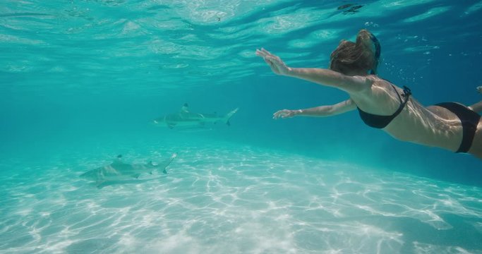 Underwater shot of attractive woman snorkeling with two black tip reef sharks in pristine blue water with a sandy ocean floor