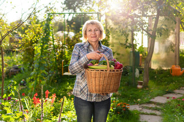 Woman with fresh vegetables in a basket in the garden in autumn
