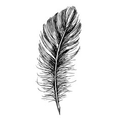 Obraz premium Feathers set on white background. Hand drawn sketch style. 