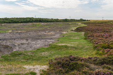 Controlled burning of old and dry heather at Morsum Cliff, Germany. The process of burning small areas removes the older growth and allows the plants to regenerate. On the left you see the burned area