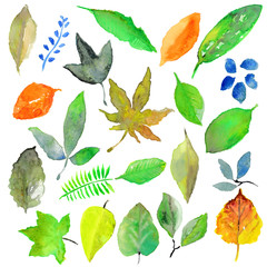 手描き　水彩　葉