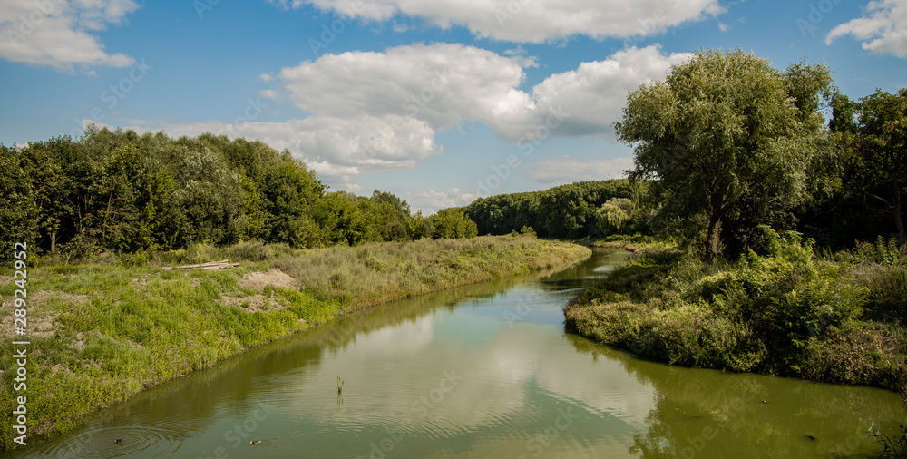 Poster eastern european country side scenic view of river stream between green park foliage natural environ