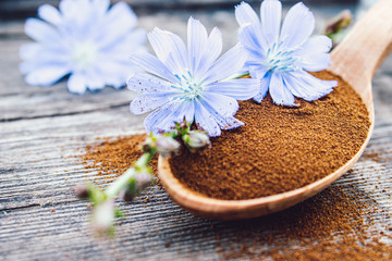 Obraz na płótnie Canvas Blue chicory flower and a wooden spoon of chicory powder on an old wooden table. Chicory powder. The concept of healthy diet drink.