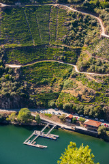 Doade wharf and espalier vineyards on the slopes of a hill next to the river Sil, in Ribera Sacra