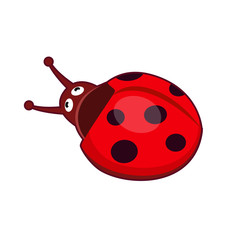 Obraz premium Vector illustration of cute ladybird