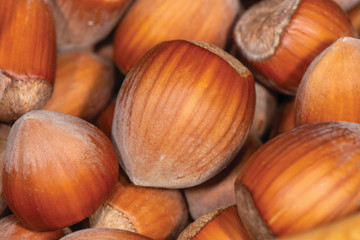 Macro photo of an inshell hazelnut on a background of scattered nuts by a large stall. Background texture