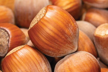 Macro photo of an inshell hazelnut on a background of scattered nuts by a large stall. Background texture