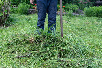 Cleaning of mowed grass with a rake and pile of fresh hay