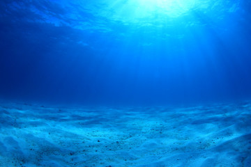 Fototapeta na wymiar Abstract underwater blue background 