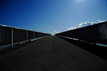 逆光　日差し　青い空