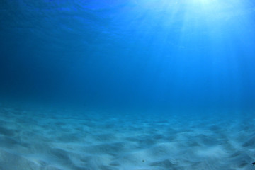 Fototapeta na wymiar Blue water background in sea 