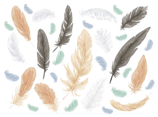Feather bird isolated doodle set. Vector illustration design.