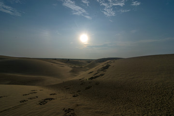 Photo of Thar Desert in Jaisalmer - Rajasthan
