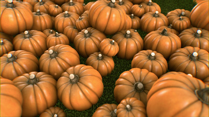 Halloween Group of pumpkins growing from grass 4K Orange background 4k video