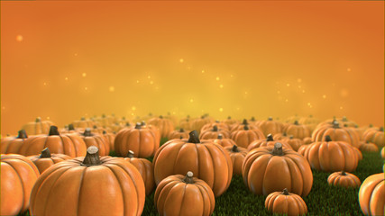 Halloween Group of pumpkins growing from grass 4K Orange background 4k video