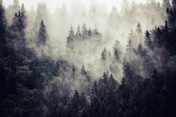 Door stickers Forest in fog Misty mountain landscape