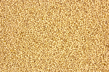 Amaranth grain as a food background texture.