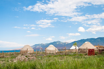 Cluster of Yurts