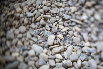 River or sea stone background. Set of all kinds of stones. Part of image is blurred.