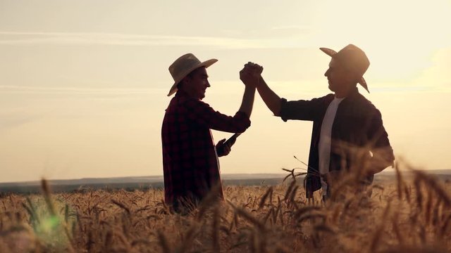 eam work. Two farmers stand at sunset in a wheat field, and discuss the new crop.. Farmers use new technologies in agriculture. Growing organic products.