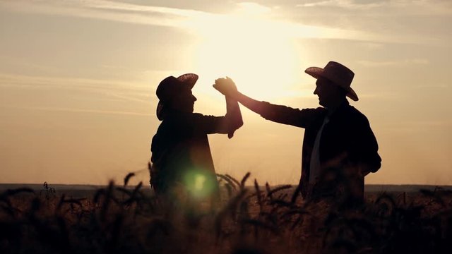 eam work. Two farmers stand at sunset in a wheat field, and discuss the new crop.. Farmers use new technologies in agriculture. Growing organic products.