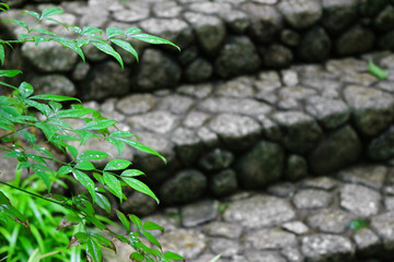 Landscape after the rain with stone steps and green leaves to feel the Japanese atmosphere