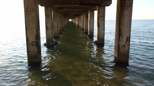 Under Pier Vector