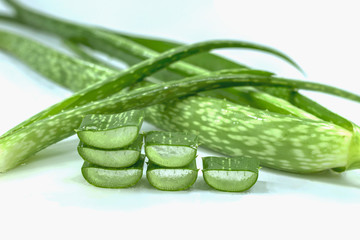 Aloe vera, cut into slices on a white background