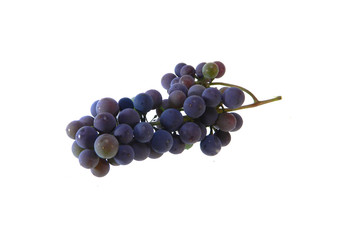 grape isolated on white background