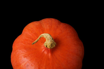 beautiful pumpkin orange isolated on dark background, halloween holiday concept, close-up, copy...