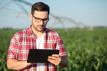 Serious young farmer in red checkered shirt working on a tablet in corn field. Looking at weather...