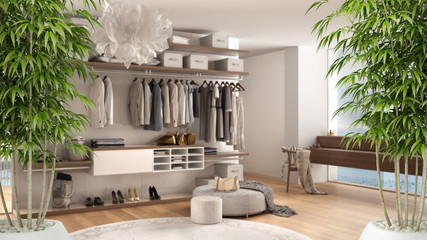 Zen interior with potted bamboo plant, natural interior design concept, minimalist luxury bedroom with carpets and walk-in closet, contemporary modern architecture concept idea
