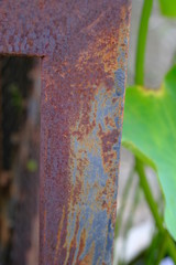 Rusty iron rods