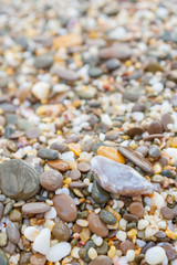 Sea stones on the seashore in the summer