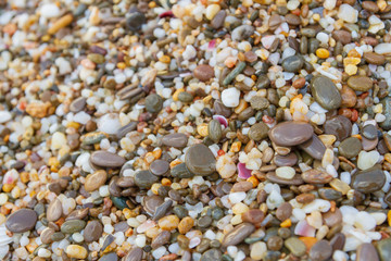 Sea stones on the seashore in the summer