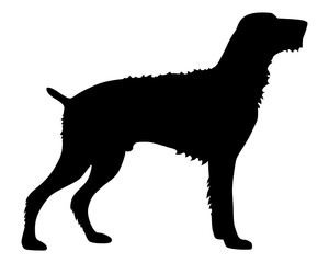 Deutsch Drahthaar Jagdhund Silhouette Vektor Grafik