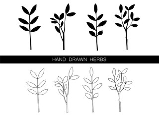 Set of vector hand drawn herbs isolated on white. Contour and silhouette. Black and white. Decorations for cards, invitations, beauty shop, tea shop, pharmacy, drugs and beauty products advertising